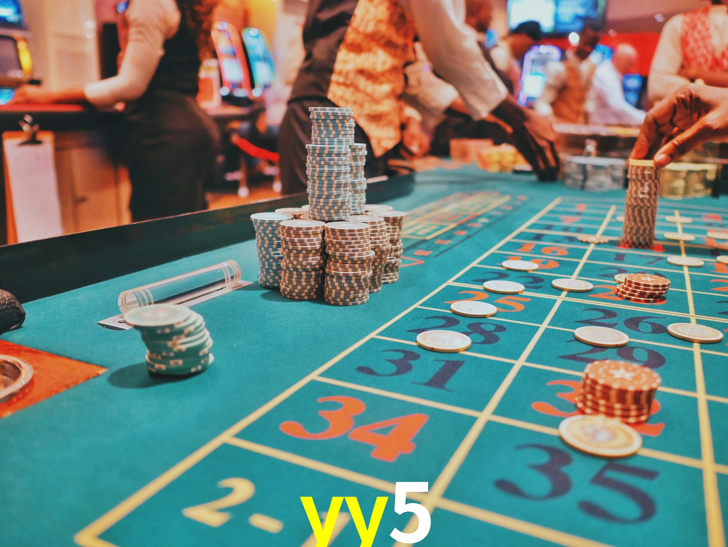 Casino Ao Vivo yy5